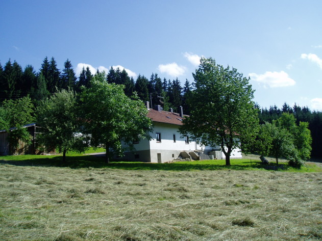 Bauernhaus - Sacherl - Bauernhaus – Aussteigen aus der Hektik – das Gefühl mit der Natur zu leben