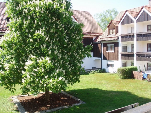 2-Zimmer-Wohnung - Ländlich wohnen in der Stadt! 